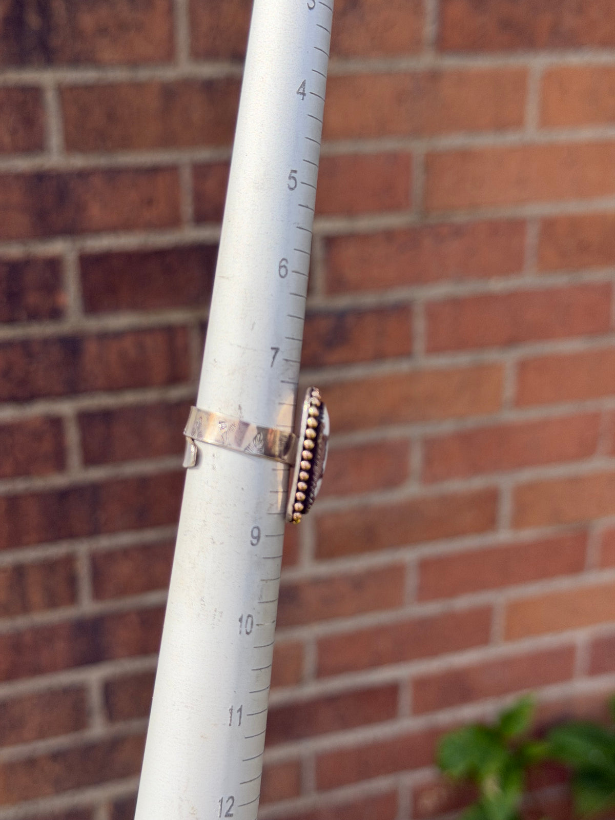 Wild Horse Adjustable Ring With Gold Filled Beading