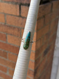 Split Band Teardrop